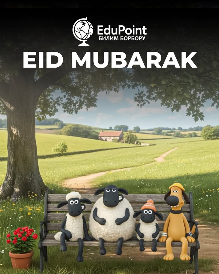 Edu Point Instagram